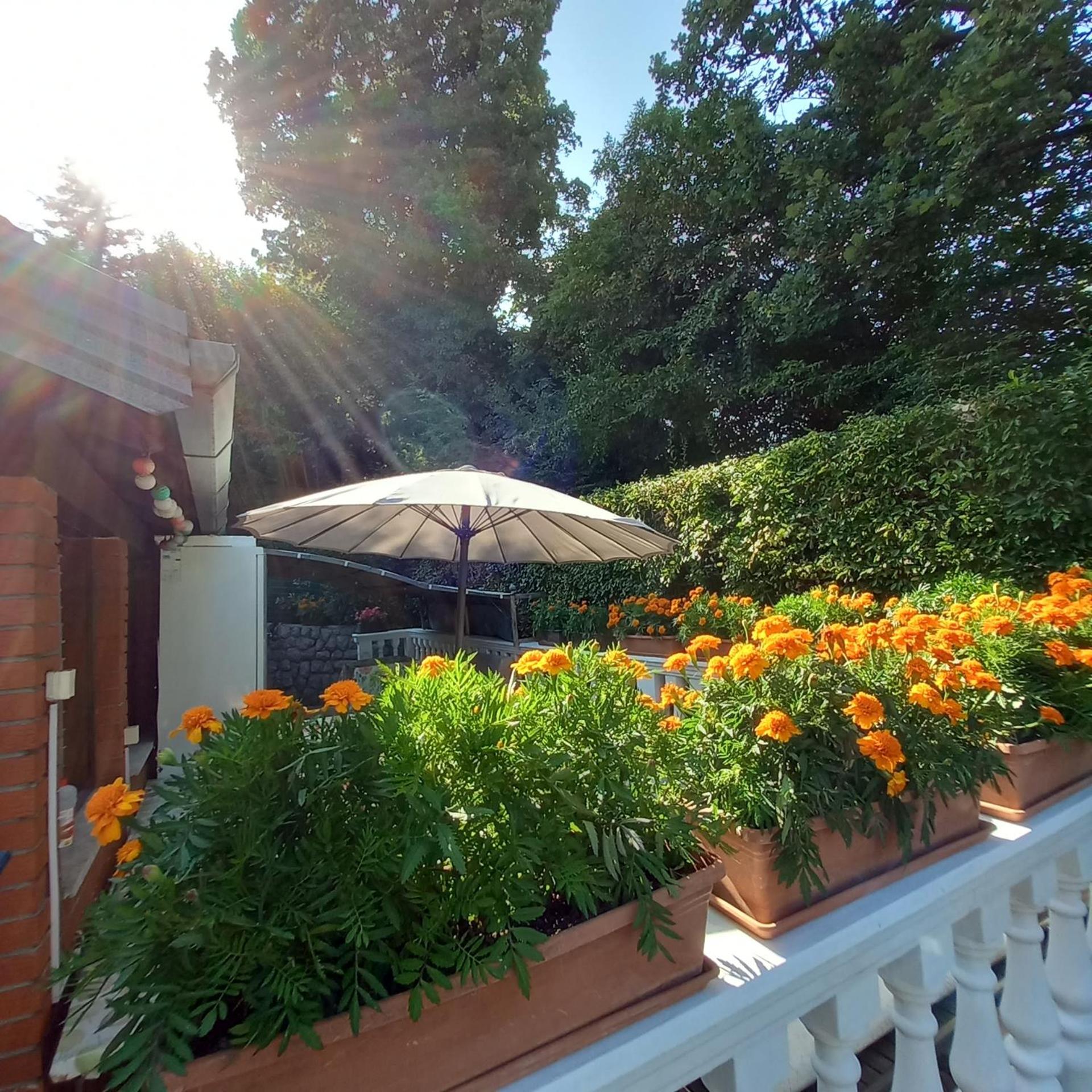 Villa Maria *